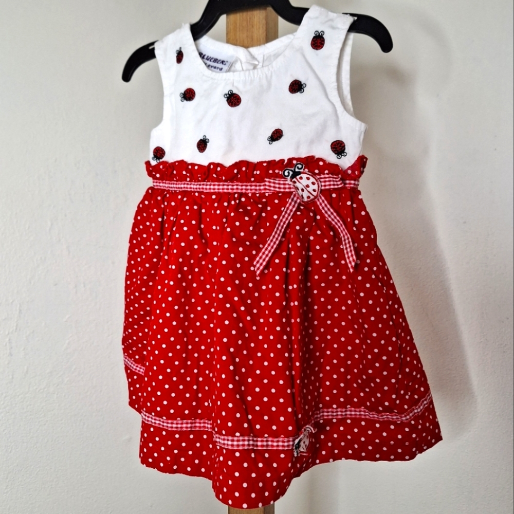 Blueberi Boulevard Ladybug Dress